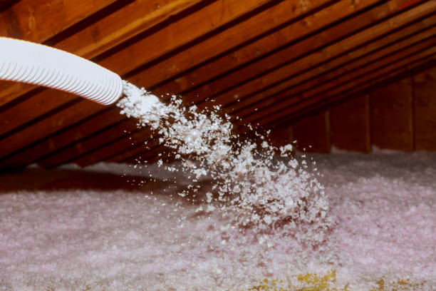 Best Insulation Maintenance and Repair in Belvidere, NJ